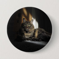 Correas de gatos Kimber del botón de la luz del so