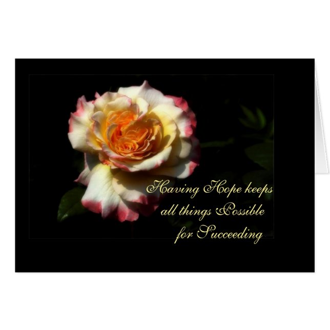 Correcto (Anverso (Horizontal))