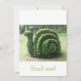 Correo de caracol de jardín verde topiario único p