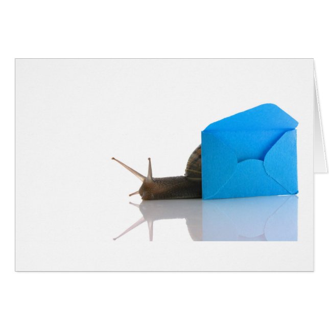 Correo de correo electrónico (Anverso (Horizontal))