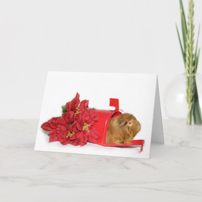 Correo del navidad del conejillo de Indias (Anverso)