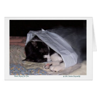 Correo mismo a usted