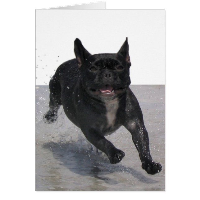 Corriendo en la playa, París Merille (Frente)