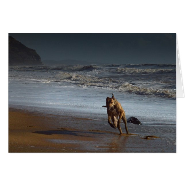 Corriendo Lurcher Greyhound en la playa (Anverso (Horizontal))
