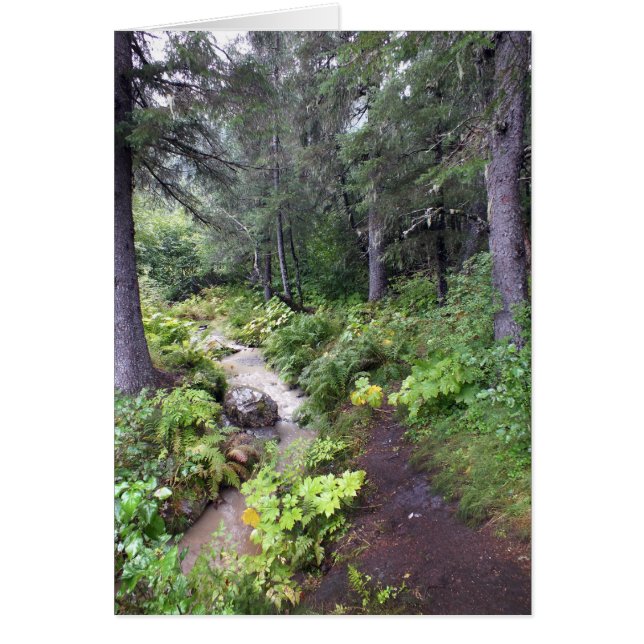 Corriente de Alaska (Frente)