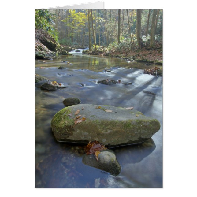 Corriente de la caída (Frente)