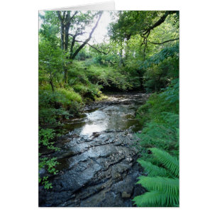 "Corriente en las maderas de Northumberland" (6)