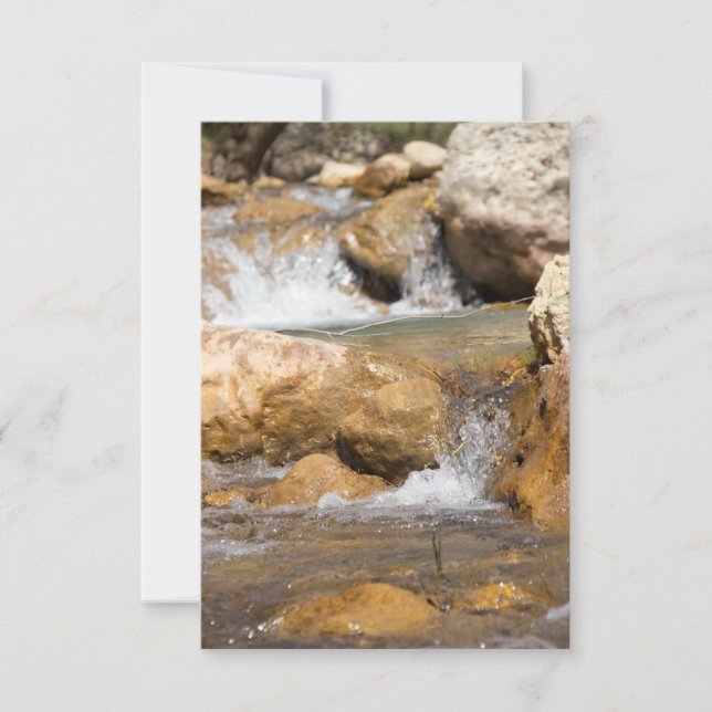 Corriente tormentosa en primavera (Anverso)