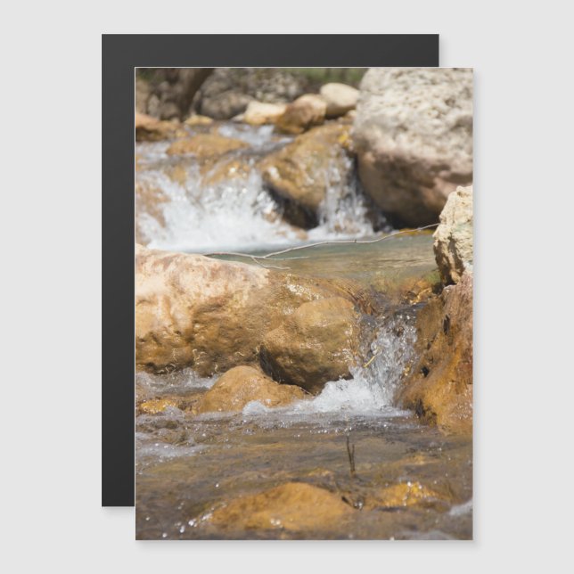 Corriente tormentosa en primavera (Anverso/Reverso)