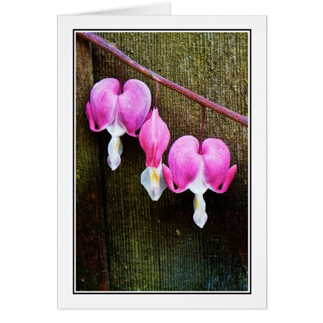 Corrimiento de los corazones (Frente)