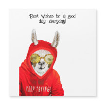 Corta, Amable, Divertida Mamá Llama, Sigue Intenta