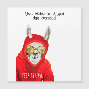 Corta, Amable, Divertida Mamá Llama, Sigue Intenta