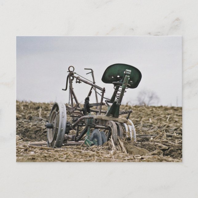 Cortador de maíz Amish en postal de campo (Anverso)