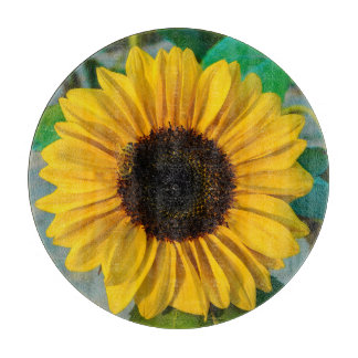 Cortar Girasol con tabla de corte de vidrio para abejas