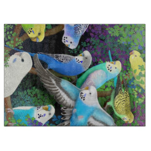Cortar Loros del Parakeet del Budgerigar en tabla de