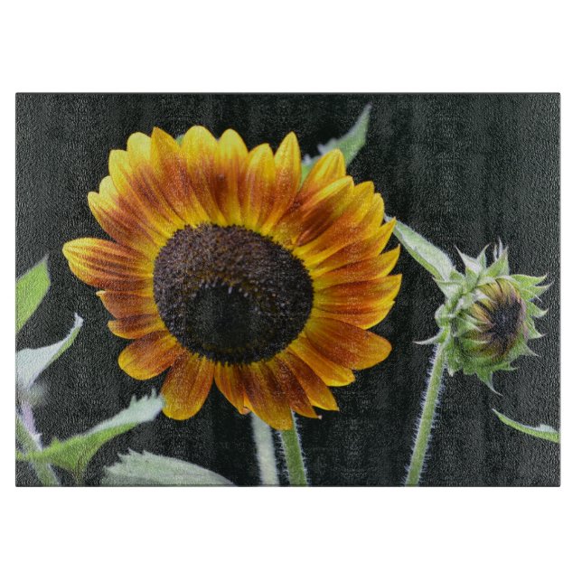 Cortar Tabla de corte de girasol (Anverso)