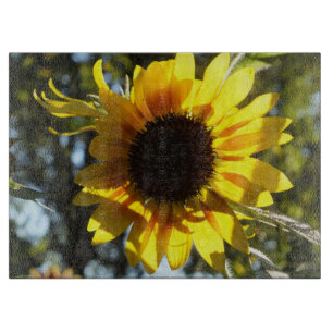 Cortar Tabla de corte de vidrio de girasol sunita