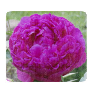 Cortar Tabla pequeña de corte de vidrio rosa profundo peo