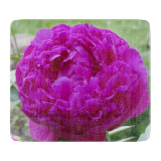 Cortar Tabla pequeña de corte de vidrio rosa profundo peo