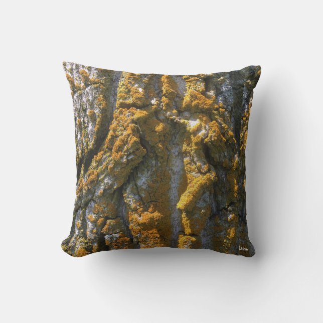 CORTEZA CON EL MUSGO - ALMOHADA (Anverso)