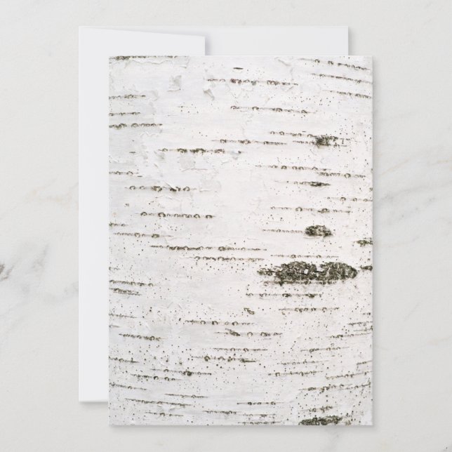 Corteza de Birch (Anverso)