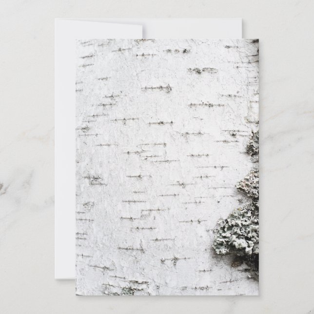 Corteza de Birch (Anverso)