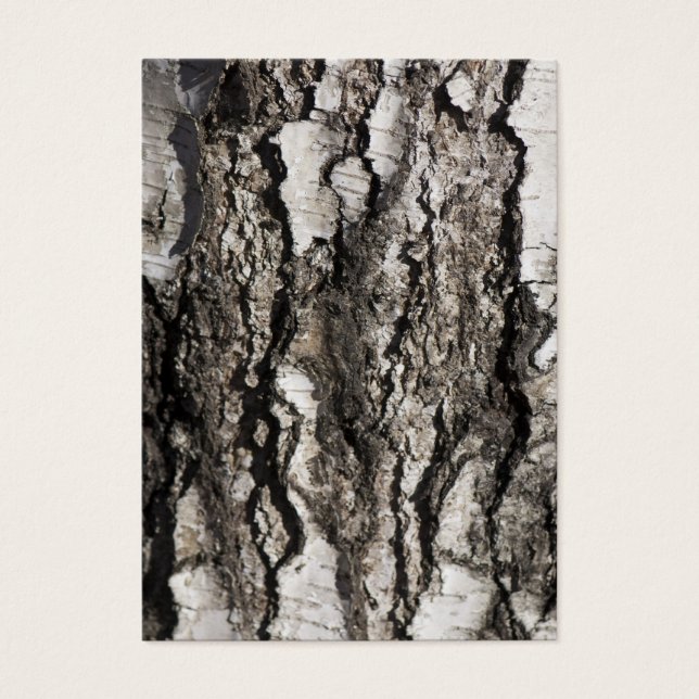Corteza de Birch (Frente)