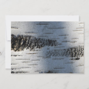 Corteza de Birch 1291