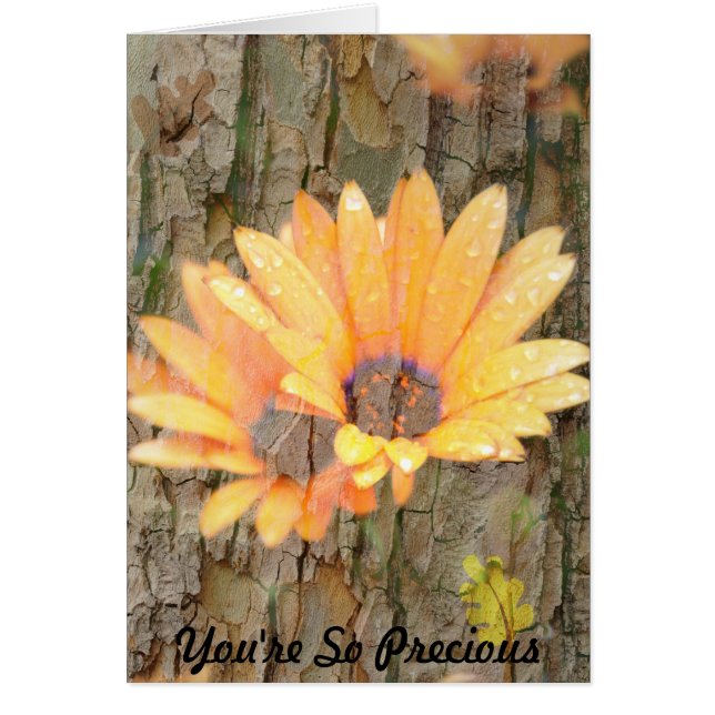 Corteza de flor amarilla preciada (Frente)