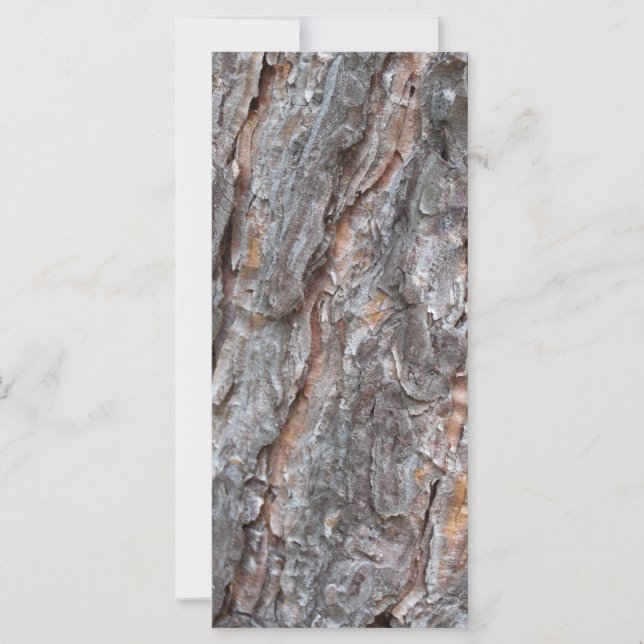 corteza de pino (Anverso)