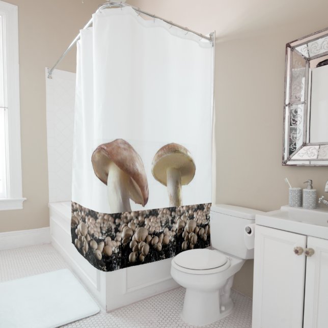 Cortina de ducha (In situ)