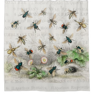 Cortina De Ducha Abeja Reina Entomología Botánica Vintage