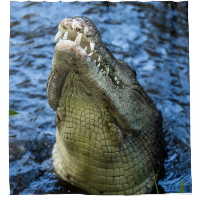 Cortina De Ducha Agua de los dientes de cocodrilo (Anverso)