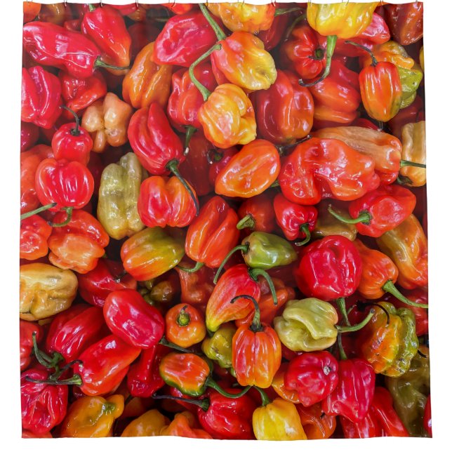 Cortina De Ducha Alimentos de bonito (Anverso)