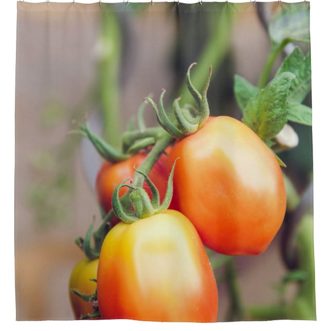 Cortina De Ducha Alimentos saludables (Anverso)