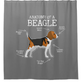 Cortina De Ducha Amantes De Beagle/ Anatomía De Un Beagle