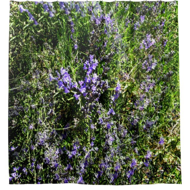 Cortina De Ducha Amo Lavanda..... (Anverso)