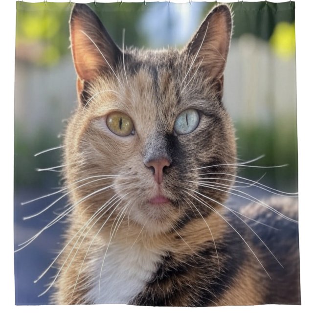 Cortina De Ducha Añadir Personalizar de fotos de gato (Anverso)