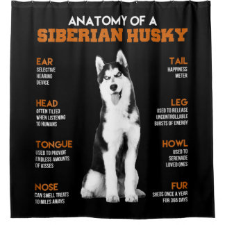 Cortina De Ducha Anatomía de un arte divertido de perros Husky sibe