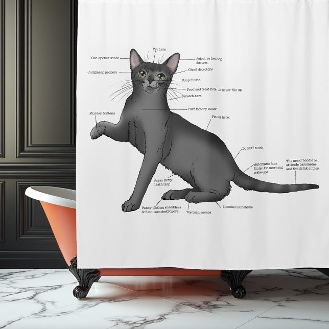 Cortina De Ducha Anatomy Cat Funny (Subido por el creador)