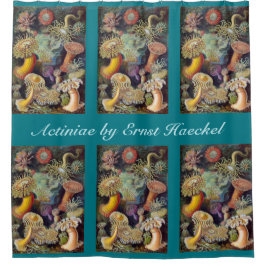 Cortina De Ducha Anémonas marinas submarinas vintage de Ernst Haeck