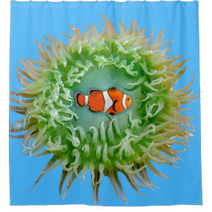 Cortina De Ducha Anemone
