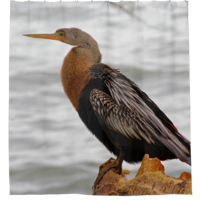 Cortina De Ducha Anhinga Al Acecho (Anverso)