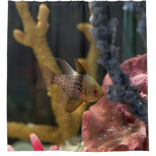 Cortina De Ducha Animales del mar (Anverso)