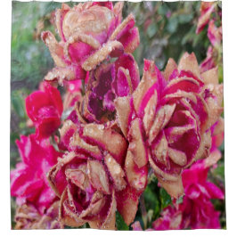 Cortina De Ducha Antiguos Rosas