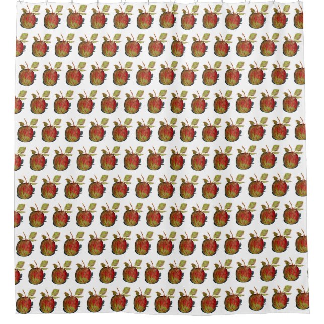Cortina De Ducha Apple (Anverso)