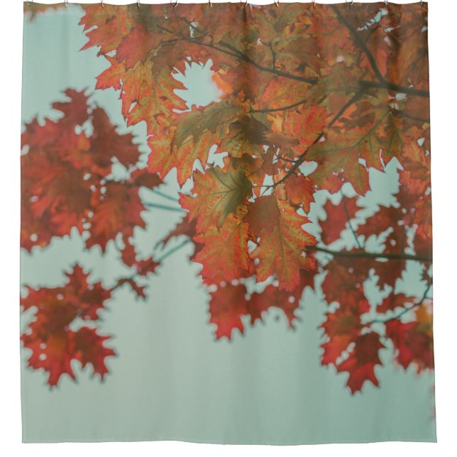 CORTINA DE DUCHA ÁRBOL ROJO (Anverso)