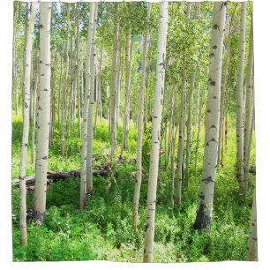 Cortina De Ducha Árboles ápicos