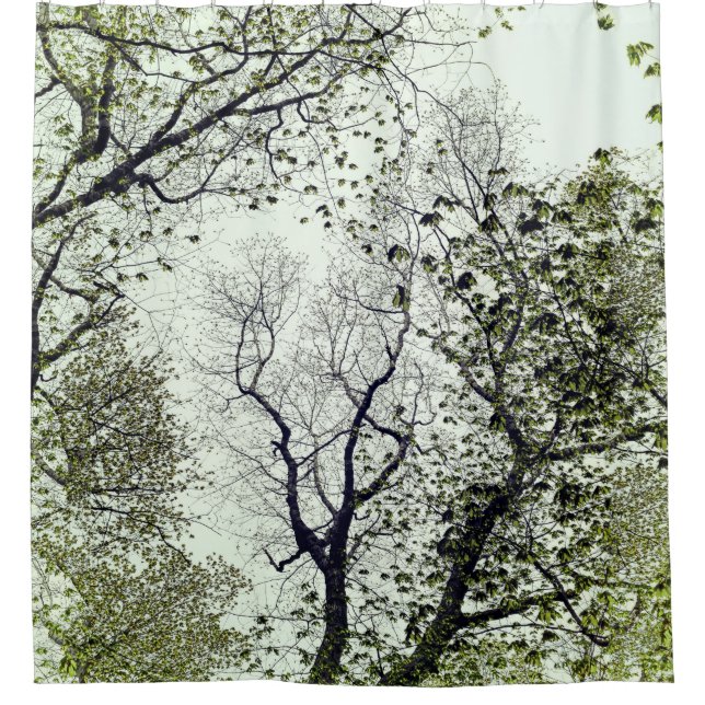 Cortina De Ducha Árboles y hojas olivos y verde marino (Anverso)