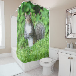 Cortina De Ducha Ardilla